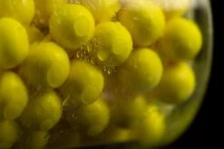 Sticky Baits Pineapple & N'Butyric Bait Spray -Ians Fishing Tackle Sale Pop Ups Sprayed