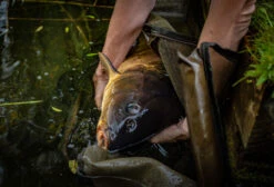 Korum Compact Recovery Sling -Ians Fishing Tackle Sale compsling6