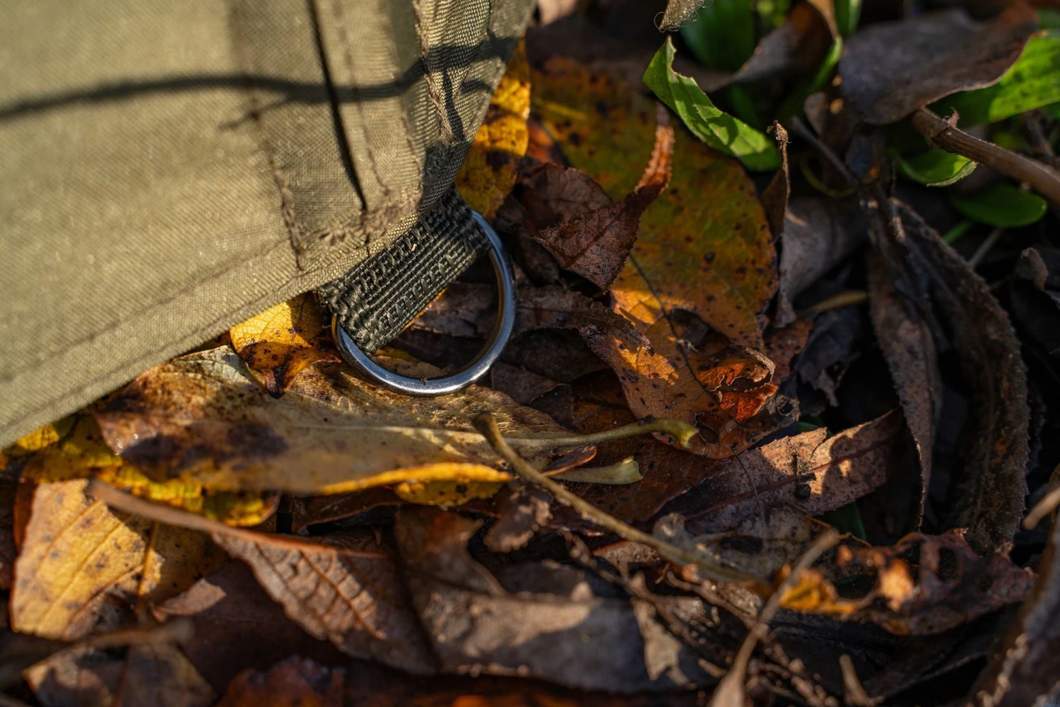 Korum Progress Graphite Brolly 50" Korum Progress Graphite Brolly 50" -Ians Fishing Tackle Sale p a8283c8e c3a1 4910 bdc4 ae257f5915f9