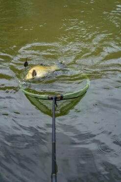 Korum Allrounder Multi Handle - 3M -Ians Fishing Tackle Sale qhcio28B